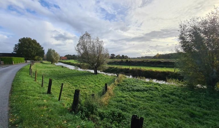 Die ersten Tage im neuen Storchennest