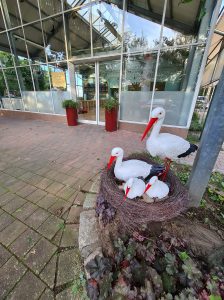 245131694_341083711067668_7020593375366997515_n