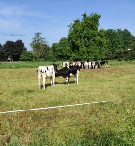 IMG-20220629-WA00282